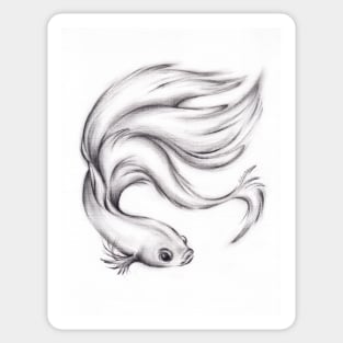 River Belle - Charcoal Pencil Drawing of a Siamese/Betta Fighting Fish Sticker